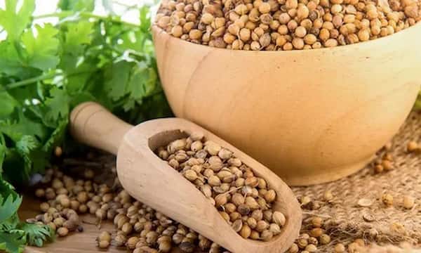 تصویر 1 از قیمت تخم گشنیز خشک شده با کیفیت ارزان + خرید عمده